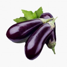 EGG PLANT باذنجان