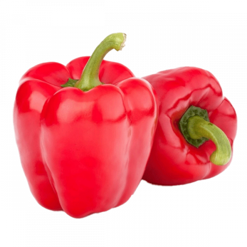 CAPSICUM RED