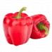 CAPSICUM RED