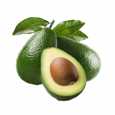 AVOCADO أفوكادو