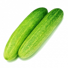 CUCUMBER BANGLA