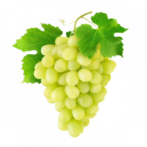 GRAPE WHITE العنب الأبيض