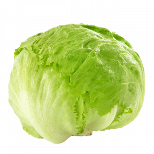 ICEBERG LETTUCE